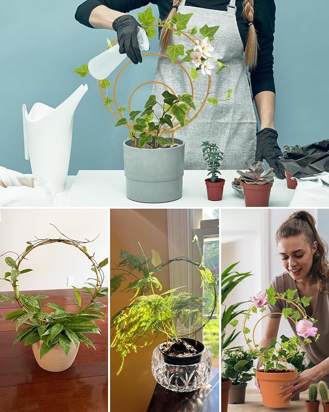 Unique Round Hoya Trellis, 3 Pcs Different Small Houseplant Trellis for Indoor Climbing Plant, Garden Trellis Plant Support for Potted Ivy and Flowers Outdoor(Gold)