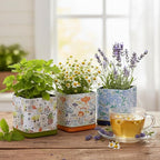 BUZZY Seeds Herbal Tea Garden Grow Kit – 3 Square Tin Planters with Lavender, Chamomile & Lemon Balm Seeds, Easy Indoor Herb Starter, Relaxing Gardening Gift Set