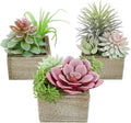 Succulent Plants Artificial, 3 Pack Small Fake Plants in Wood Pot for Home Decor, Farmhouse Artificial Plants Indoor for Living Room Bathroom Bedroom Office Kitchen Desk Wedding Coffee Table Decor