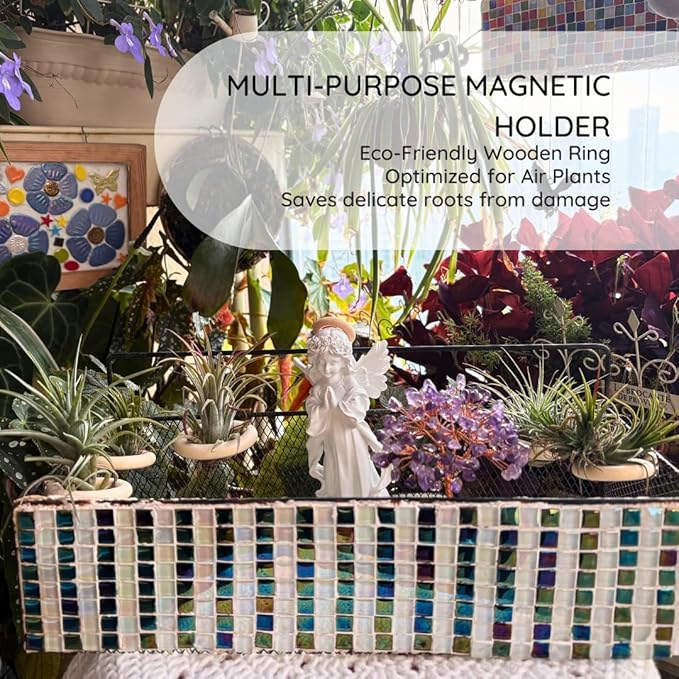 15-Pack Magnetic Air Plant Holders, Breathable Wire Tillandsia Hangers for Fridge & Metal Wall, Modern Miniature Plant Display Rings for DIY Fairy Gardens and Home Decor (2.2 Inch)