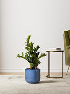 LE TAUCI Fluted Ceramic Plant Pots, 8.3/7/6 Inch Indoor Planters with Drainage Holes & Mesh, Modern Glossy Glaze Cylinder Flower Pot for Snake Plant, Set of 3, Harbor Blue