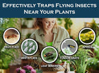 MaxGuard (20 Pack) Yellow Sticky Hanging Traps - Catch and Kill Fungus Gnats, Whiteflies, Mosquitos, Aphids, Leaf Miners, Flying Insect Catcher Glue Trappers for Indoor or Outdoor