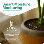 PLANTPETZ Large Robotic Planter – Smart Planter Fits 4 Inch Pots | Bluetooth Speaker | Interactive Smart Plant Pot Turns A Real Plant Into a Touch/Motion Responsive Companion - Sequoia Woodgrain