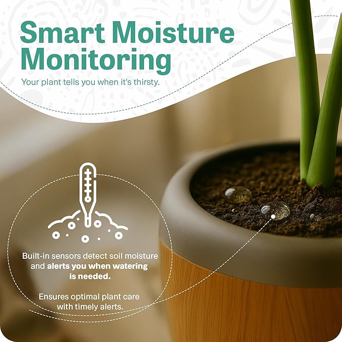 PLANTPETZ Large Robotic Planter – Smart Planter Fits 4 Inch Pots | Bluetooth Speaker | Interactive Smart Plant Pot Turns A Real Plant Into a Touch/Motion Responsive Companion - Sequoia Woodgrain