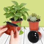 Augshy 110 Pcs 3.5 Inch Plastic Plant Pots, Nursery Pots for Succulents Seedlings, Small Plant Pots with Drainage Holes, Plastic Garden Pots for Home Gardening