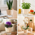 2 Pack Self Watering Pots for Indoor Plants, 8.4" Self Watering Planters Large African Violet Self Watering Clear Pots for Plants Large Herb Orchid Flower Houseplant, Ivory White