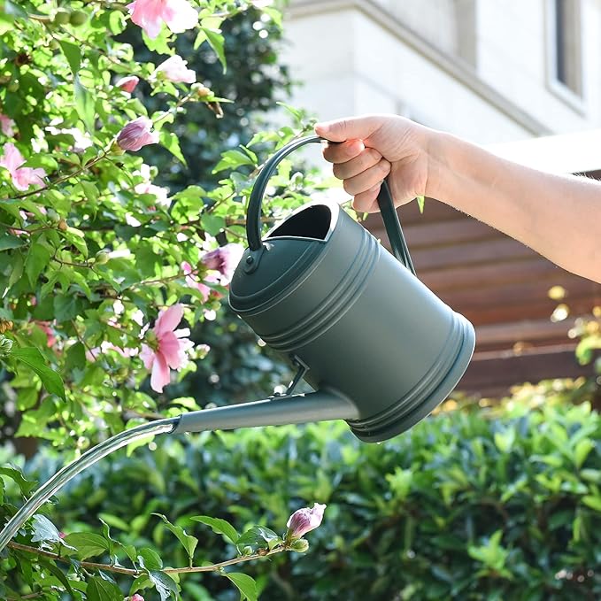 Plastic Watering Can for Indoor Plants Outdoor Garden Flowers - House Plant Watering Can with Sprinkler Head (1/2 Gallon, Green)