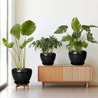 Ceramic Planters Pots - 10 Inch 8 Inch 6 Inch Plant Pots Indoor with Drainage Holes and Saucers Large Planters Mid-Century Flower Pots Outdoor Set of 3 Black