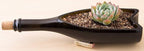 Bonsai Jack Succulent, Cactus and Bonsai Soil - Jacks Gritty Mix - 12 Gallons – Fast Draining – Fight Root Rot – Optimized pH
