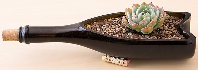 Bonsai Jack Succulent, Cactus and Bonsai Soil - Jacks Gritty Mix - 3 Gallons – Fast Draining – Fight Root Rot – Optimized pH