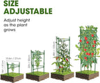 6 Pack Tomato Cage,Tomato Cage for Raised Garden Bed, 48'' Tall Tomato TrellisTriangle or Square Cages for Garden,Pots, Plant Cages & Supports（Green, Extra Bold ）