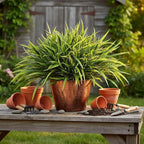 24 Bundles Artificial Outdoor Plants UV Resistant Fake Grass Plants Faux Plastic Greenery Shrubs for Home Garden Pathway Window Box Front Porch Spring Summer Decor, Green
