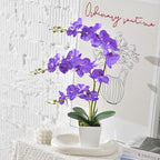 Faux Orchid in Vase Large Artificial Orchid in Ceramic Vase Silk Orchids with Stems Real Look Potted Phalaenopsis Flowers Arrangement Centerpiece Table Decorations for Home Decor Indoor, Purple