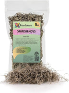 Gardenera Premium Natural Spanish Moss | Natural Preserved - Great Ground Cover - Filler for Potted Plants - 5 Quart Bag