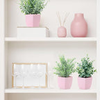 summer flower 4 Pack Small Fake Plants in Pink Pot Artificial Plant Indoor Eucalyptus Wheat Grass Ferns Rosemary Faux Greenery for Room Decor Home Office Desk Bathroom Kitchen Living Room Decorations