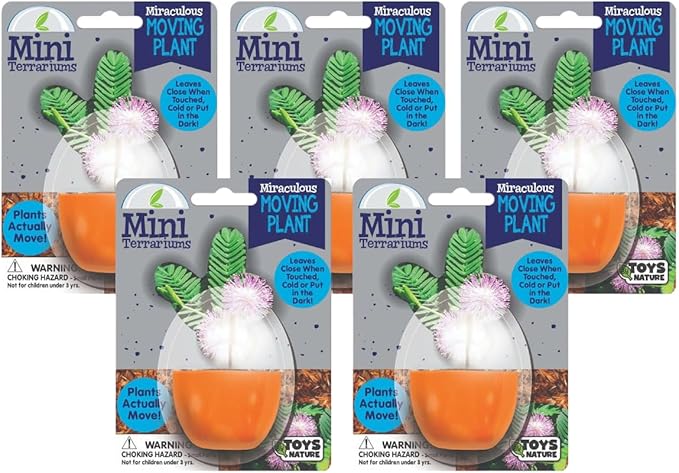 Toys By Nature Mini Terrarium Moving Plant Bundle, 100% USA Made Complete Starter Kit for Indoor Planting, Interactive Gardening Experience and Easy to Grow Seeds Just Add Water, 5-Pack