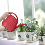 Plant Watering Can - 1/2 Gallon - Wine Red