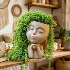 Face Planters Pots Head, Unique Air Plant Holder, Funny Succulent Flower Pot, Cute Indoor Plant Pot with Drainage for Small Herb Cactus, Decorative Vase, Garden Gift for Women, Desk Shelf Art Decor 7"