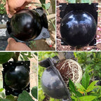 10PCS Propagation Stations Air Layering Pods, Reusable Rapid Root Plugs Air Layering Propagation Kit Grafting Tool Take Root Box Plant Propagation Ball Root Tone for Plant Cuttings Tree