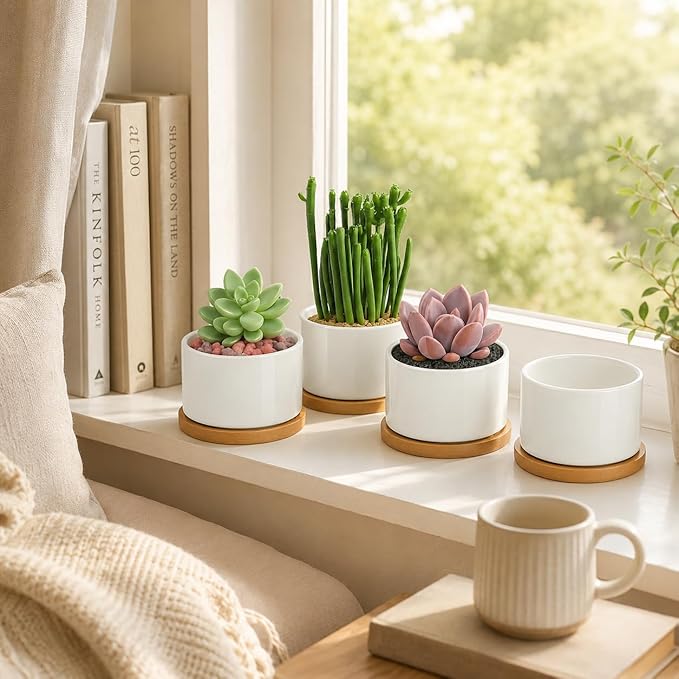 ZOUTOG Ceramic Succulent Pots 8 Pack,3.6 Inch Plant Pots,Succulent Planters with Drainage Hole & Bamboo Tray for Indoor Plants,White Small Flower Planters for Home,Office,Desk