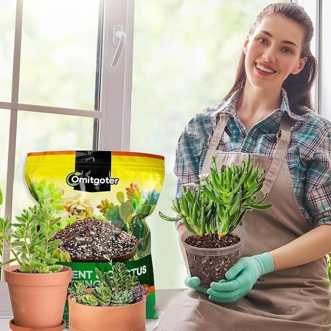 Succulent & Cactus Soil Potting Mix 1qt, Natural Organic Potting Mix for Cactus, Succulent, Palm, and Citrus Grown in Containers Indoors and Outdoors