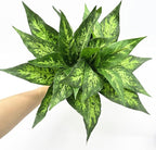 PASYOU Artificial Aglaonema Plants, Green Speckled Leaves 2 Pack, Fake Magnolia Grass Plant, Faux Plastic Leaves Shrubs, Indoor Outdoor Decor Home Garden Yard Table Planter Filler Decorations - Green