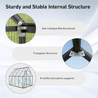 6x8 FT Garden Greenhouse with Hygrometer, Polycarbonate Greenhouse with Heavy Duty Aluminum Frame, Quick Setup Plant Gardening Green Houses for Outside with Lockable Door & Vented Roof Window