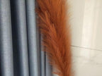 Premium Faux Burnt Orange Pampas Grass – 43.3″ Tall Fluffy Decor, No Assembly 18-Branch One-Piece Stems, Luxury Silk-Feel Feather Flowers for Boho Wedding Home Decor (Faux Burnt Orange, 8pcs 110cm)