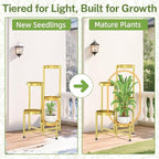 iDavosic.ly Plant Stand Indoor Outdoor, 5 Tier Corner Metal Flower Display Holder Shelf, Folding Tall Orchid Rack for Patio Balcony Porch Garden Living Room House, Gold