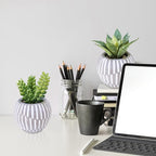 Winlyn Set of 3 Artificial Succulents Plants in Mini Gray and White Geometric Cement Pots Faux Potted Plants Aloe Pachyphytum Succulent Donkey Tail Small Plant for Home Office Table Shelf