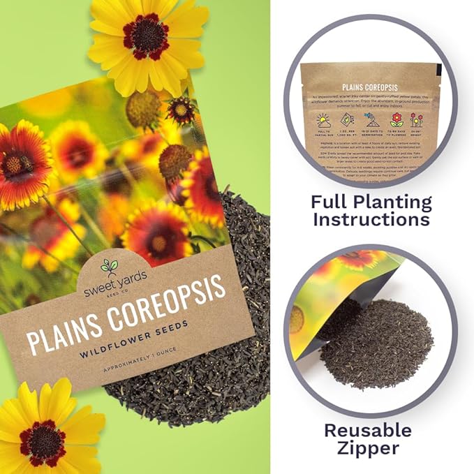 Plains Coreopsis Seeds – Native Flowers – Extra Large Packet – Over 100,000 Open Pollinated Non-GMO Wildflower Seeds – Coreopsis tinctorial