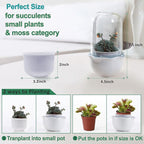 Smart Venus Fly Trap Terrarium Pot with Timer&Fan,Plant Terrarium Kit with Grow Light for Carnivorous,Butterwort, Venus Flytrap,Birthday Gardening for Women Garden Lover-No Plant