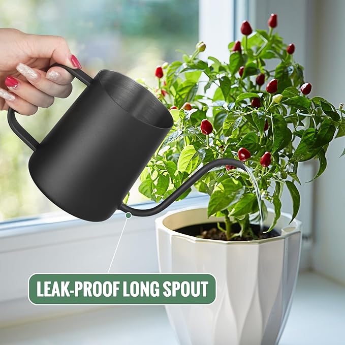 Small Watering Can Indoor Plants - 20 oz Mini Stainless Steel Watering Can with Long Spout Rust-Proof Tiny Metal Watering Can for Small House Plants Flowers Home & Office Black