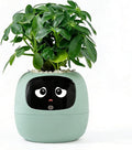 Intelligent Flower Pot, Electronic Bud, Maintenance Plant Assistant, Fun Interactive Flower Pot, Indoor Green Planting Monitoring, LCD Screen Display, Cell Phone APP Connection (Green)