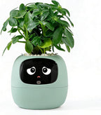 Intelligent Flower Pot, Electronic Bud, Maintenance Plant Assistant, Fun Interactive Flower Pot, Indoor Green Planting Monitoring, LCD Screen Display, Cell Phone APP Connection (Green)