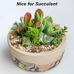 Landscape Rocks,Landscaping Pebbles,River Rocks,Decorative Ornamental Pebbles,Garden Landscaping Stones, Gravel Filler for Home Decoration Flower Bed Fish Tank Plants Vases Succulents (10 Pounds)