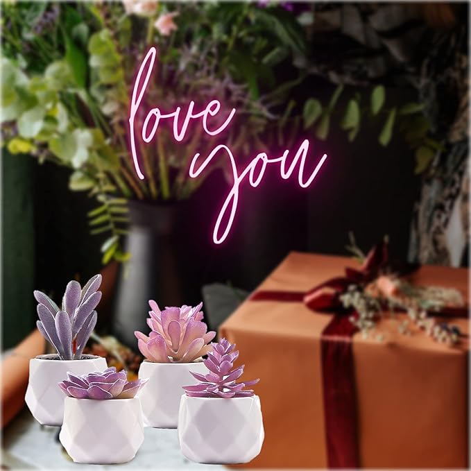 CADNLY Fake Succulent Plant Set - Artificial Desk Plants for Women Desk - Realistic Faux Succulents in Ceramic Pots - Mini Purple Decor for Bedroom Bathroom Office Shelf 4 Pack