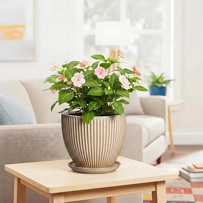 8 Inch Pots for Plants, Ceramic Planter with Drainage Hole and Saucer, Decorative Indoor Plant Pots for Snake Plants, Modern Round Flower Pot, Office House Decor, Gardening Gifts, Beige