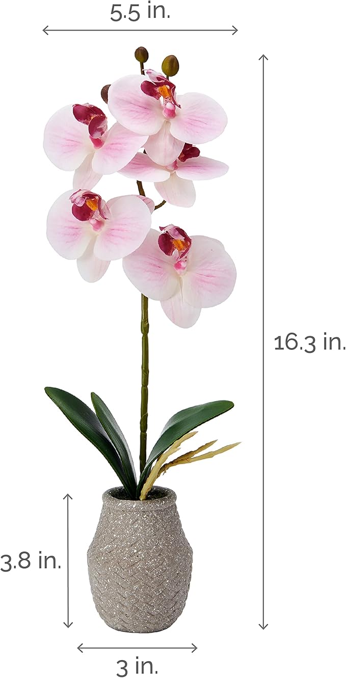 Mikasa Artificial Orchid in Pot, Real Touch Phalaenopsis Orchid, Embossed Weave Cement Pot, 16-Inch Single Branch, Watercolor Pink