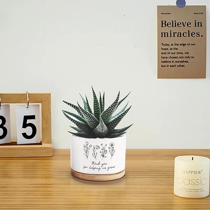 Thank You for Helping Me Grow Ceramic Succulent Funny Planter Pots for Plant Lovers Teacher Birthday Christmas Thanksgiving Gift, 3.6 Inch (Plant Not Included)