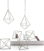 Geometric Silver Iron Air Plant Hangers and Stands Set - 2 Hanging with Chains + 4 Tabletop Holders for Tillandsia, Succulents, Modern Home Decor, Wall or Desk Display