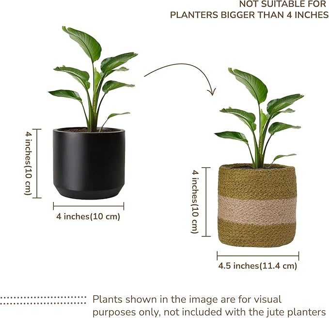 Jute Planter Basket-Woven Jute Rope Covers for Decorating Indoor/Outdoor Succulents, Small Plant Pots-Set of 2-Multi-Purpose Storage Bins 4.5 Inches - Modern Style Décor - Olive & Natural