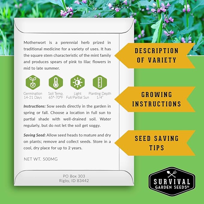 Motherwort Seeds for Planting - Plant & Grow Lion's Tail Medicinal Herbs in Your Home Herb Garden - Non-GMO Heirloom Variety - Survival Garden Seeds