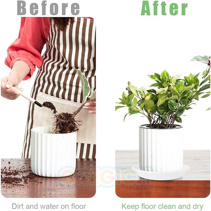 5.8" (4.5" at Base) White Plastic Plant Saucer, 6 Pack Single Size, Strong Plant Water Catcher Tray for Potted Plant Planter Plate Dish Pan Flower Pot Drip Tray for Indoors Outdoor