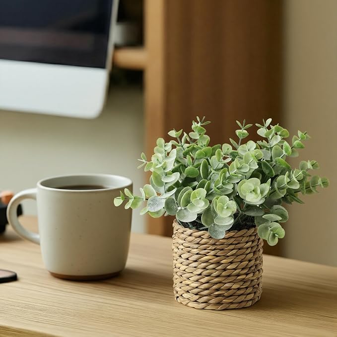 Small Fake Potted Plants: 7 Inches Artificial Plants with Seagrass Handwoven Planters, Indoor Farmhouse Spring Decorations, Eucalyptus Plant for Home Bathroom Office Shelf Tabletop Desk Room Decor
