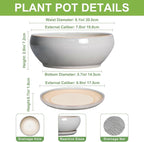 SQOWL Bonsai Tree Pots - 8 Inch Ceramic Plant Pots for Succulents, Shallow Planter with Drainage Hole and Saucer, Round Planter Indoor Outdoor, Bowl Planters, Home Decor, Gift for Plant Lover, Gray