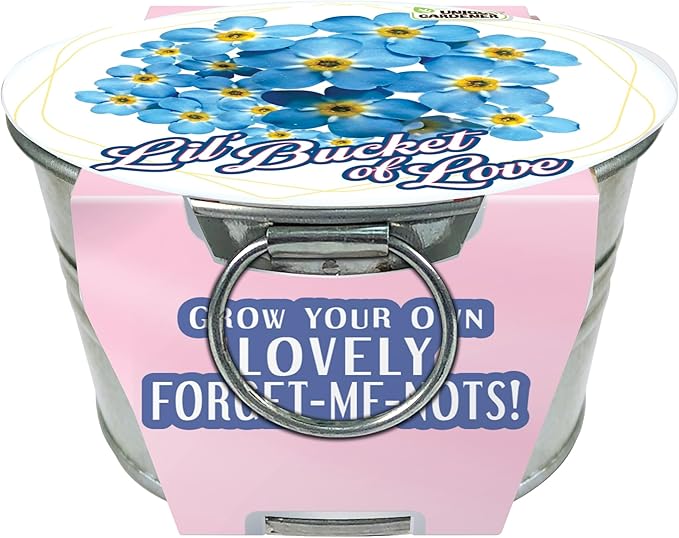 Unique Gardener Grow Your Own Forget-Me-Not Plant Seeds 3-Pack, DIY Indoor Succulents and Live Plants for Home or Garden Planting, Lil Bucket of Love