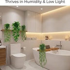 4 Pcs Artificial Hanging Plants with Pots - Realistic Fake Eucalyptus & Ivy Vine Potted Plants for Bathroom Shelf Decor - Faux Greenery Aesthetic for Office Desk, Bookshelf (Indoor & Outdoor)