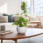 Ceramic Plant Pots 6 Inch - Ceramic Orchid Pot with Drainage Hole and Plug, Unique Pots for Plants Indoor Outdoor, Decorative Modern Planter, Living Room Decor, Plant Lovers Gifts, Grey