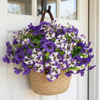 Rowfad 36 Pcs Artificial Fake Pansy Flowers for Outdoor, Faux UV Resistant Silk Pansies Flowers for Outside Planter Front Door Porch Yard Patio Window Box Home Decor (36, Lavender)